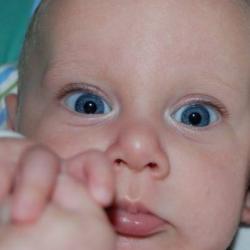 Fundraising Page Image